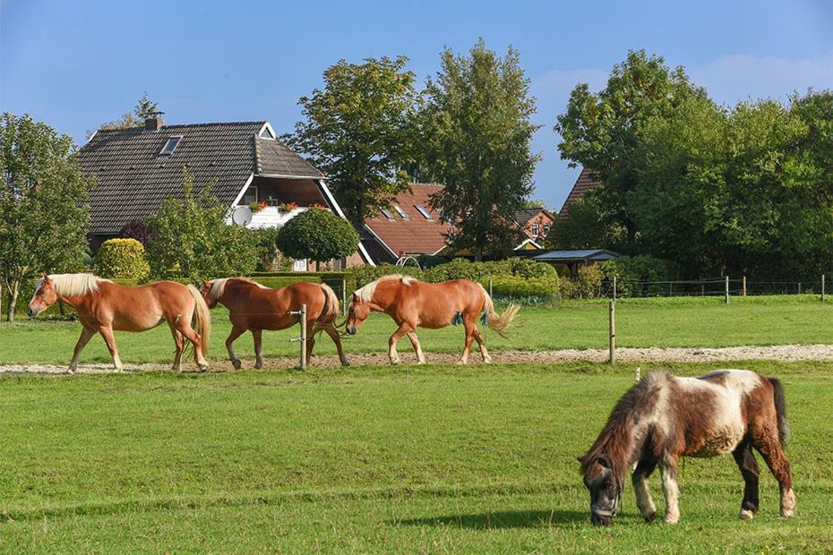 Ferienhof Zur Alten Linde Holtgast 외부 사진